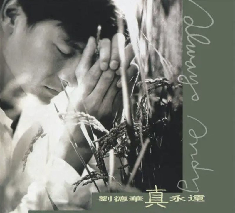 名称：刘德华 - 1995年专辑 - 真永远   Flac描述：在十多年演唱生涯中，刘德华推出的大碟无数，由1985年首张大碟《只知道此刻爱你》，至90年代《再会了》、《一起走过的日子》、《爱不完》，以及国语专辑《忘情水》、《笨小孩》及《真永远》等，无论是悲情情歌、轻快温柔作品以及跳舞快歌华仔都演唱的淋漓尽致