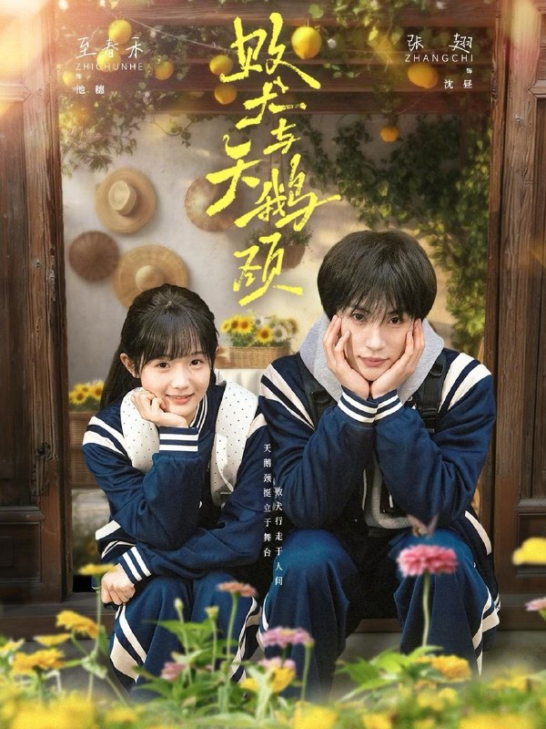 名称：2026年5月3日 短剧更新目录2描述：1.败犬与天鹅颈（71集）张翅＆至春禾2.开局一张藏宝图，我带国宝回家（107集）卢艺煊＆大森3.全家重生，我嚣张一点不过分吧（70集）左铭＆甜九洛4.这个千金有点神（65集）王倩＆林昱希5.枕边非生人（37集）Ai短剧6.重回老婆去世前，这一次绝不放手（80集）郑天奇＆贾羽馨夸克：