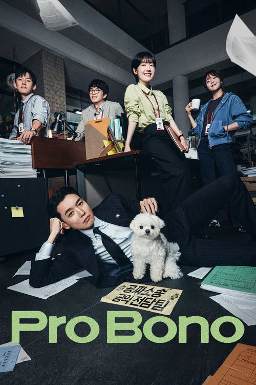 公益律师 (2025)1080p S01E01 - E05简介： 讲述了一家大型律师事务所内一个零收入的公益律师团队，在公益法律领域中应对各种挑战的故事 