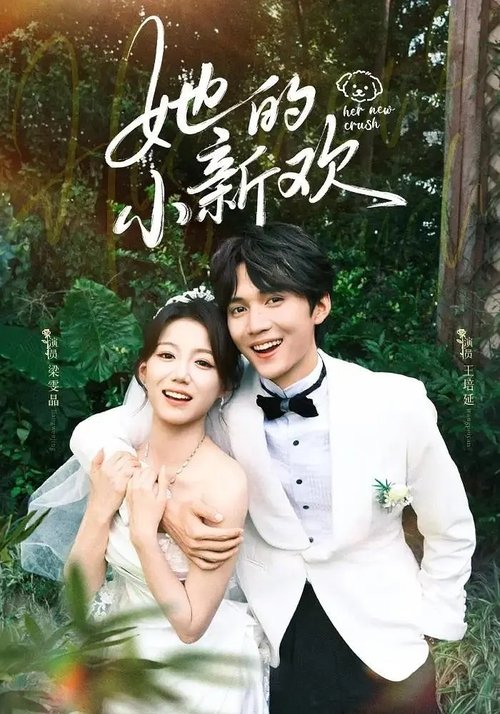 她的小新欢 (2025)1080p S01全 杜比音效 HiveWeb简介： 黎愫和未婚夫的弟弟闪婚了