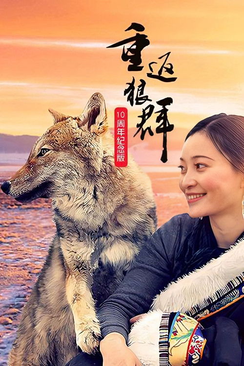 重返狼群 十周年特别纪念版 (2021)4K HQ S01全简介： 2020年7月29日中国首个野生狼保护站成立