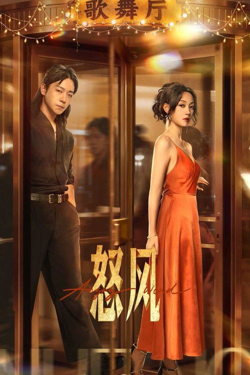 怒风 (2025)4K S01全 HiveWeb简介： 年轻总裁郑南风遭背叛后穿越回1990年，身份骤变为歌舞厅经理兼妻子周知意的跟班