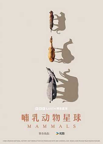 名称：哺乳动物星球 (2024) 4K HLG 全集 中字外挂字幕描述：2024开年大献，欢迎来到哺乳动物星球！6600万年前，当恐龙对地球的统治走向终结时，哺乳动物得以自由探索地球的每个角落
