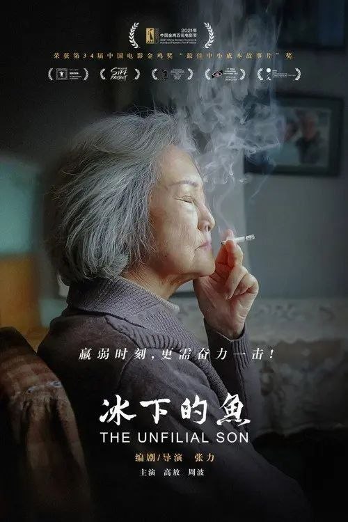 名称：冰下的鱼 (2024) 4K描述：冬捕开始前的七天里，中国东北老工业城市里