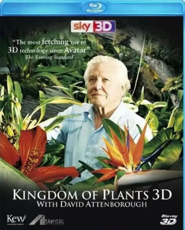 名称：植物王国 (2012) 1080P 全集 内封简英双语字幕描述：大卫·爱登堡带领你，运用3D摄影技术，展示肉眼看不到的微观世界