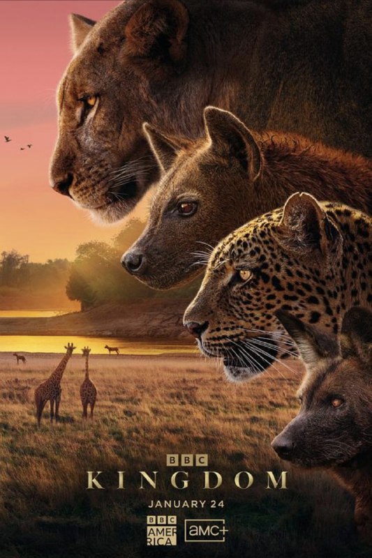 名称：动物王国 (2025) 4K 全集 国英多音轨 简英双语字幕描述：在位于赞比亚腹地的南卢安瓜国家公园，花豹、鬣狗、杂色狼和狮子共同生活在卢安瓜河畔一片名为恩塞富的葱郁之地，这里生机勃勃，是养育后代的理想家园，因此，这里的生存空间十分拥挤