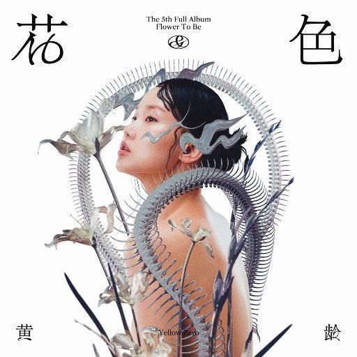 名称：黄龄 - 花＆色 FLAC描述：《花&色》为黄龄2023年第五张专辑，集结多位金牌制作人