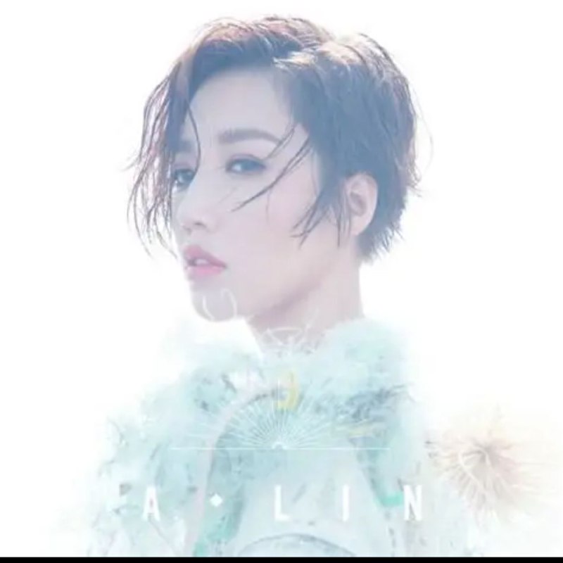 名称：黄丽玲 A-Lin - 同名专辑 - Hi-Res FLAC 描述：《A-Lin》是黄丽玲2017年9月发行的同名专辑，也是她首次担任制作人的作品，与荒井十一联合制作 
