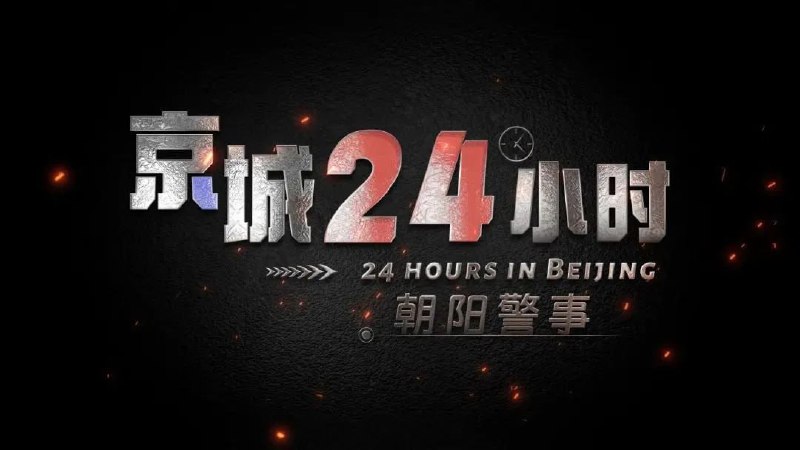 名称：京城24小时之朝阳警事 (2024)描述：以首都公安基层派出所工作为内容视角，通过沉浸式的拍摄手法记录北京CBD中心区一线公安干警的警务工作，以鲜活的人物、生动的故事，独特的视角，全景式展现首都公安一线的警务运行机制