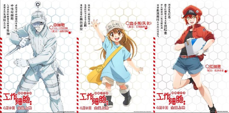 名称：工作细胞 2季全 1080P + BLACK +剧场 中字外挂字幕描述：这是一个关于你自身的故事