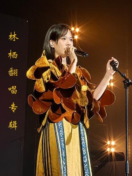 名称：林栖《林栖翻唱精选集》[FLAC]描述：林栖是近年走红的新生代国语流行女歌手，酷狗认证音乐人，网传科班出身