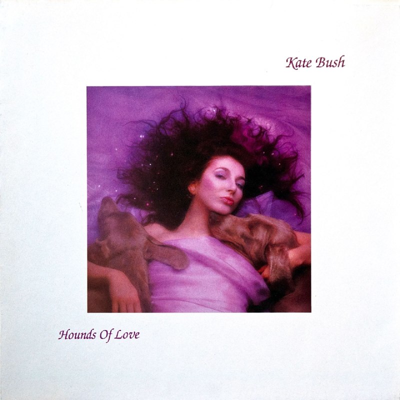 名称：1985 - Kate Bush - Hounds Of Love (FLAC 24bit 96kHz)德版黑胶LP描述：1985年Kate Bush推出的《Hounds Of Love》是其生涯巅峰之作，由EMI发行，这版德产24-96规格更具质感