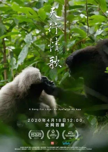 名称：天行情歌 (2020) 4K描述：《天行情歌》是由缤纷自然、bilibili联合出品的自然题材纪录片
