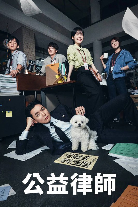 名称：公益律师（2025）NF 1080p 内封简繁 S01全描述：姜大卫（郑敬淏 饰）曾是备受尊敬的法官，人生却在一夕间分崩离析