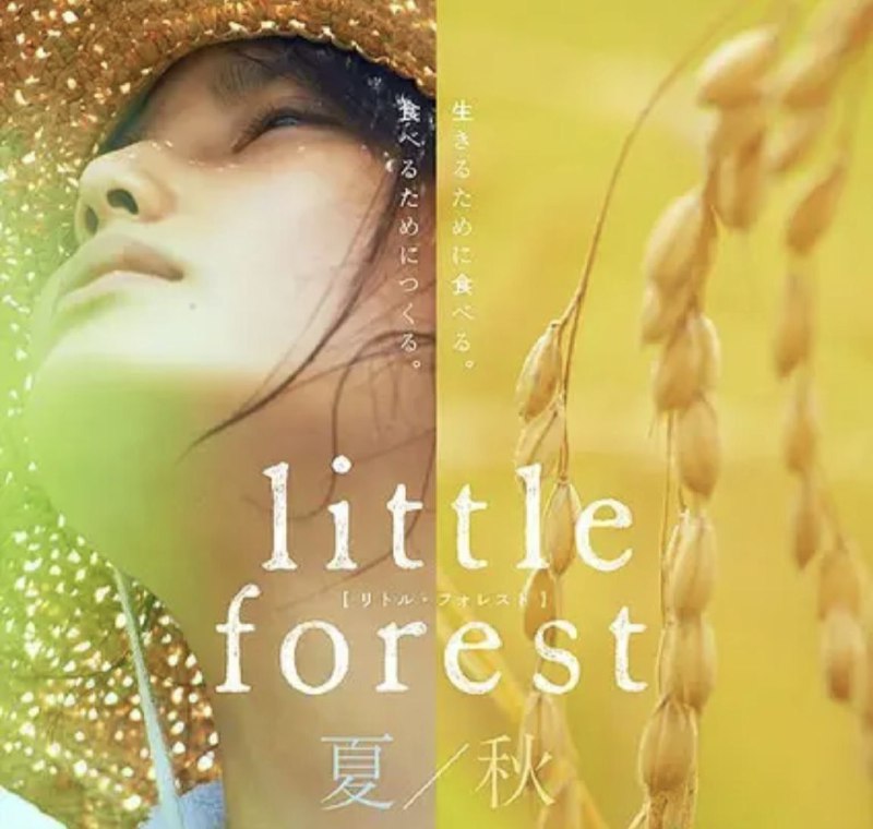 名称：小森林夏秋篇 (2014) 1080P 中字内嵌字幕描述：平凡女孩市子（桥本爱 饰）自幼生长在位于日本东北地区的村庄小森