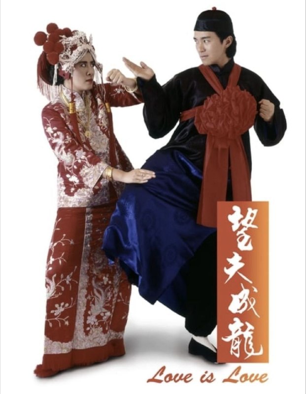 名称：【原盘】望夫成龙 (1990) 1080P REMUX 国粤多音轨 中字外挂/内嵌字幕描述：石金水（周星驰 饰）与吴带娣（吴君如 饰）同在乡下长大，二人青梅竹马，也私定终生了