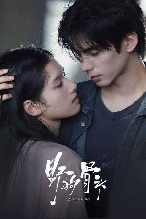 名称：野狗骨头 (2026) 4K 全32集完结描述：20世纪90年代，陈异和苗靖因父母的相识而结缘