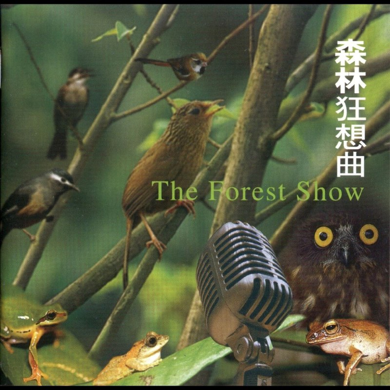 名称：自然音乐 森林狂想曲  FLAC CUE描述：《森林狂想曲》是聚焦台湾自然风貌打造的标杆之作，耗时五年走访台湾山林宝地录音，由留美自然录音专家与金曲奖制作团队联手操刀