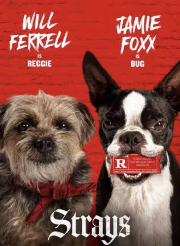 名称：复仇狗联盟 (2023) 4K 中字内嵌字幕描述：该片为真人和CGI结合的R级喜剧片，讲述被遗弃的小狗雷吉和其他流浪狗联手报复前主人的故事