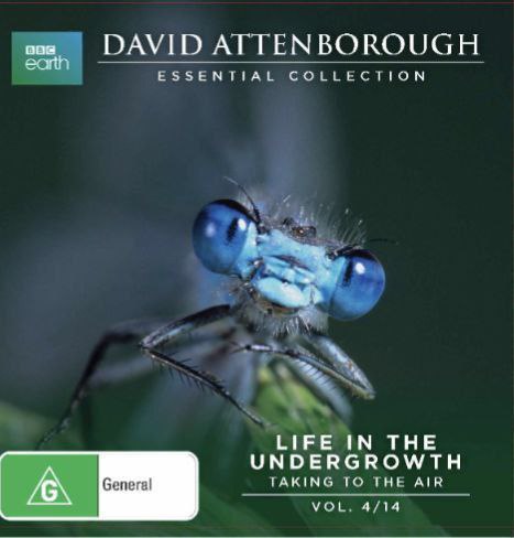 名称：灌丛下的生命 (2005) 720P 中字外挂字幕描述：欢迎来到怪异、凶猛但出奇美丽的无脊椎昆虫世界！与大卫艾登堡禄爵士一起进行开创性的探索，瞭解一个壮观、不受重视但却充斥人类周遭的迷你宇宙