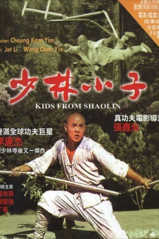 名称：【原盘】少林小子 (1984) 1080P REMUX 国粤多音轨 中字外挂/内嵌字幕描述：在风景如画的桂林，两户人家隔河相望，一家是武当嫡传的鲍笙凤（于承惠 饰），鲍家一连八个，皆为女儿，致武当剑法有失传之虞，鲍笙凤整日愁眉不展，更对对岸的少林一家怒目相视