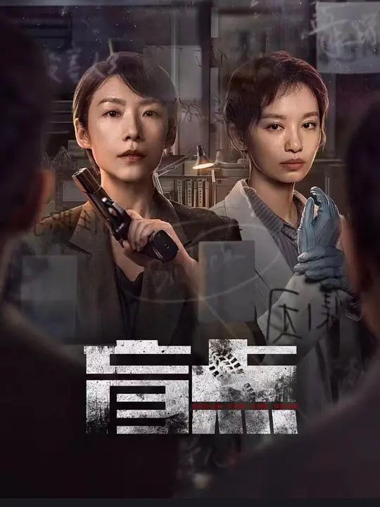 名称：盲点 (2025)描述：在阴沉的蓝港市，女刑警安颖如都市脉搏的守望者，直面着城市的阴暗面