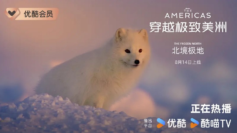 名称：穿越极致美洲 The Americas (2025)描述：纪录片将带您深入探索美洲大陆——地球上唯一横跨南北两极的广袤陆地