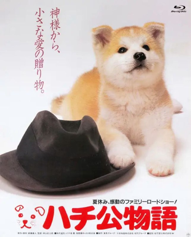 名称：忠犬八公物语 (1987) 1080P 国日多音轨 中字内嵌字幕描述：1923年，日本秋田县大馆市天降大雪，近藤家纯种秋田犬产仔，赠与县土木科长间濑