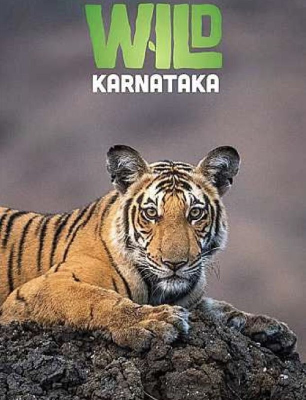 名称：野性印度卡纳塔克邦 (2019) 1080P 中英硬字幕描述：一部史无前例的超高清电影，讲述 Karnataka 丰富的生物多样性，由大卫·艾登堡解说