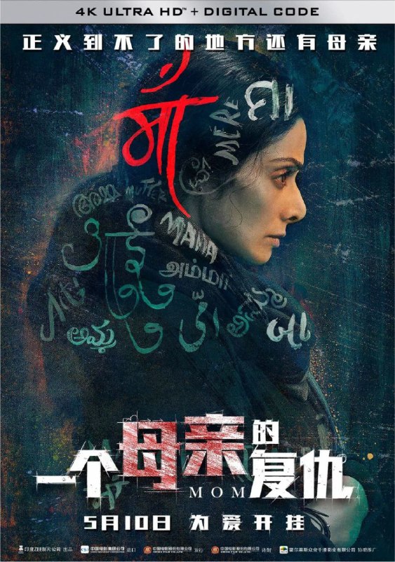 名称：一个母亲的复仇 (2017) 4K 高码 国语印度语双音轨 中字硬字幕描述：本片改编自震惊印度的“德里黑公交案”