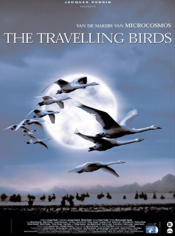 名称：迁徙的鸟 (2001) 1080P 中字外挂字幕描述：“鸟的迁徙是一个关于承诺的故事，一种对于回归的承诺