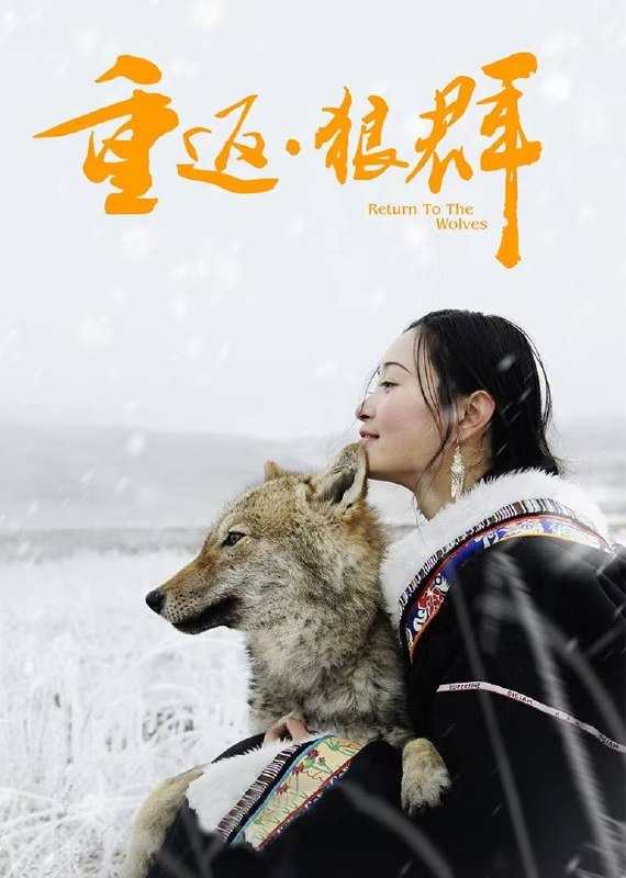 名称：重返·狼群（2017）4K HQ 高码率 内嵌简英描述：一部来自由亲历者自拍的影片