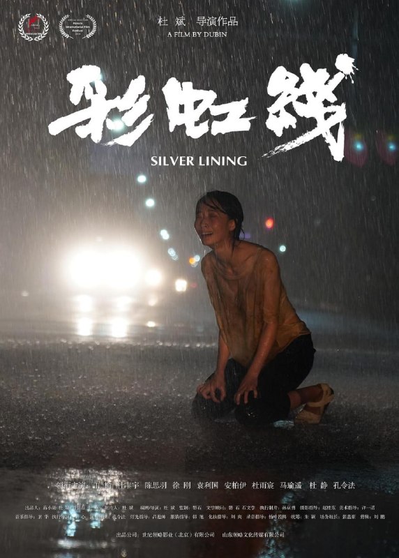 名称：彩虹线 (2024)描述：在农贸市场卖蔬菜的王静华做生意热心诚信，她生活的全部希望都在十五岁的儿子夏小宇身上