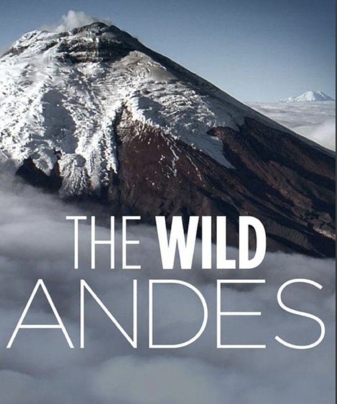 名称：野性安第斯 (2018) 1080P 全集 中英外挂字幕描述：探索安第斯山脉的极端，赞美这些在南美洲西部边缘4000英里的旅程中称之为家的动物，从冰冷的南巴塔哥尼亚到缺氧的高原再到北部热带的安第斯山脉