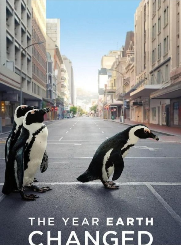 名称：地球改变之年 (2021) 4K HDR 外挂中字描述：展示世界各地历经史无前例的一年之后所拍摄的独家影片，这部贴近时事的纪录片，不但以全新手法描绘全球大封锁的局面，也带大家看见许多由此而生的正向故事