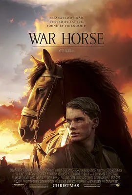 名称：战马 War Horse (2011)描述：1914年，在德文郡小镇，男孩艾尔伯特（杰瑞米·艾文 Jeremy Irvine 饰）目睹了幼驹乔伊的诞生