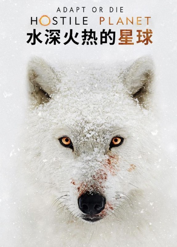 名称：水深火热的星球 (2019) 1080P 全集 外挂中英描述：野生动物主题纪录片《水深火热的星球》从一个全新的角度探索地球最恶劣的生存环境