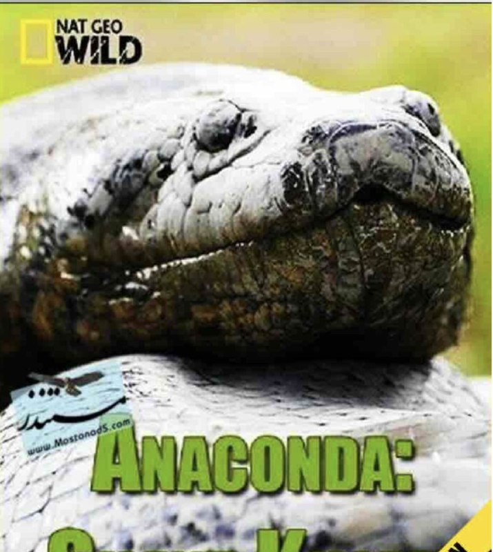 名称：蟒蛇：沉默杀手 (2014) 4K 国语 中英硬字幕描述：很少有蛇比水蟒更令人恐惧，也最不为人所知