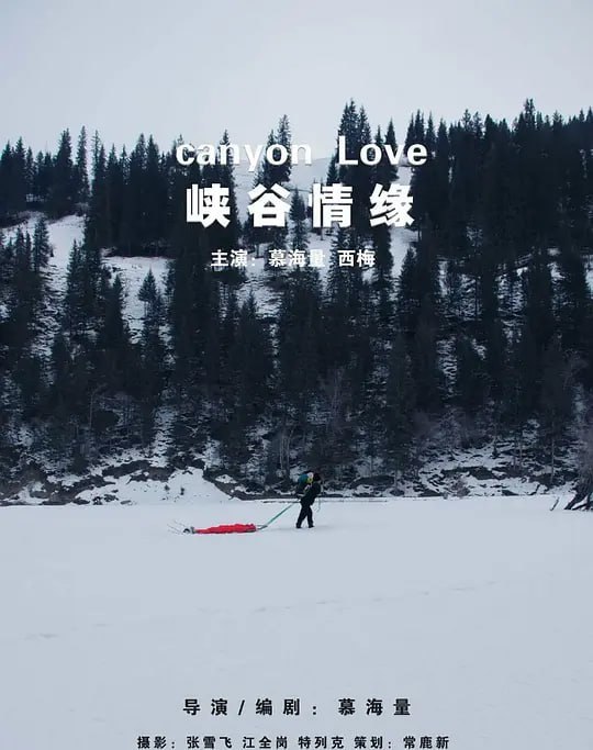 名称：峡谷情缘 (2024)描述：冰山雪岭、荒无人烟的幽幽峡谷中,前去看望爱妻的苏东遇到了身受重伤的植物学家王丽娜;他面对生与死,道德与良知,理性和欲望的种种考量,一路绝地求生,突破更事困难;丽娜虽然中途醒来,但为了保护苏东再次被冻俑;他们最终能否走出去?还看峡谷情缘夸克：