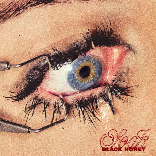 名称：Black Honey Soak.(2025) FLAC Hi-Res 24bit 48kHz描述：英国另类摇滚乐队Black Honey 2025年8月15日发行第四张专辑《Soak》，共12首歌，专辑受库布里克启发，以复古未来主义意象为基底，融合迷幻、摇滚等风格