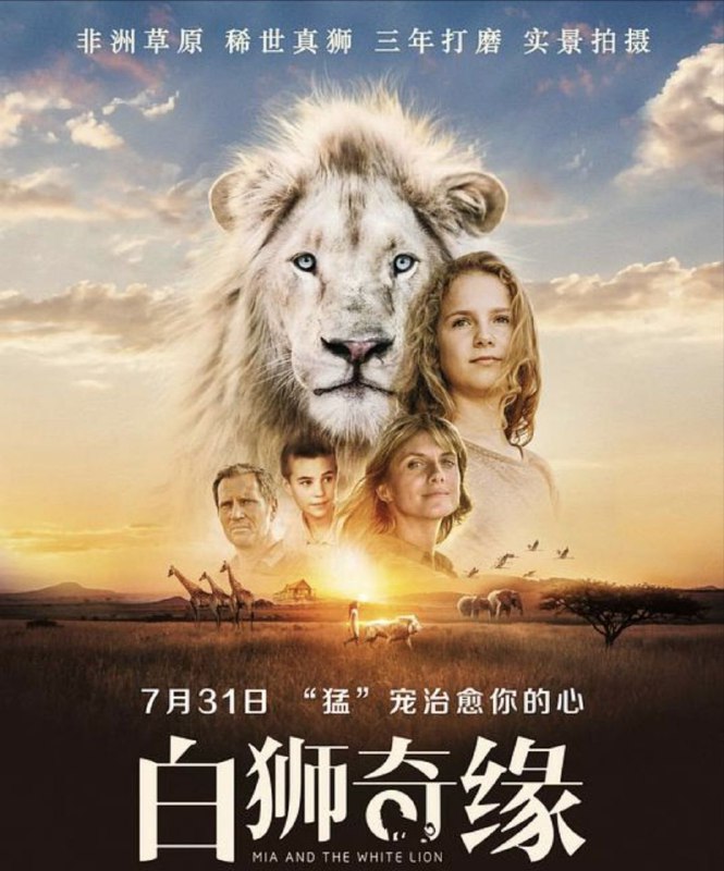 名称：白狮奇缘 (2018) 1080P 内嵌简繁字幕描述：11岁的女孩米娅（丹妮·戴·维利尔斯 Daniah De Villiers 饰）跟随着家人，从伦敦来到南非生活，居住在当地的一间农场里