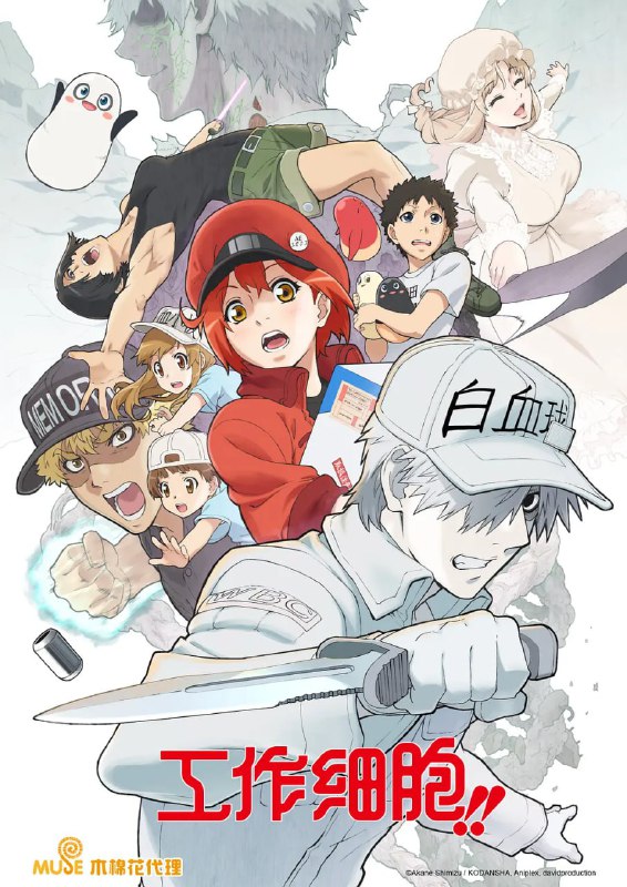 名称：工作细胞 第二季 はたらく細胞!! (2021)描述：这是一个关于你自身的故事