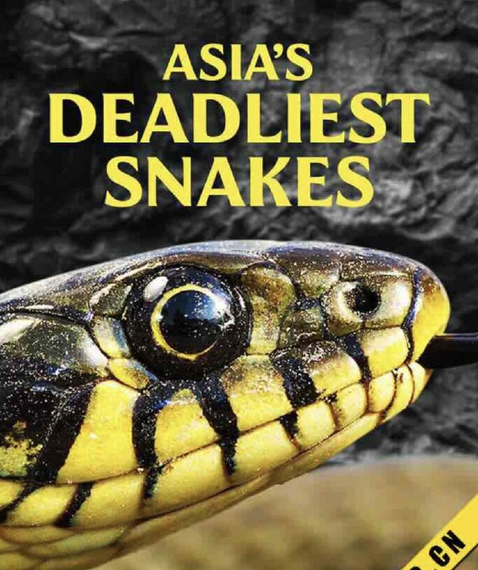名称：亚洲毒蛇之最 (2010) 4K 中字硬字幕描述：蛇是地球上最可怕的生物之一，而亚洲是最容易被蛇咬伤的地区