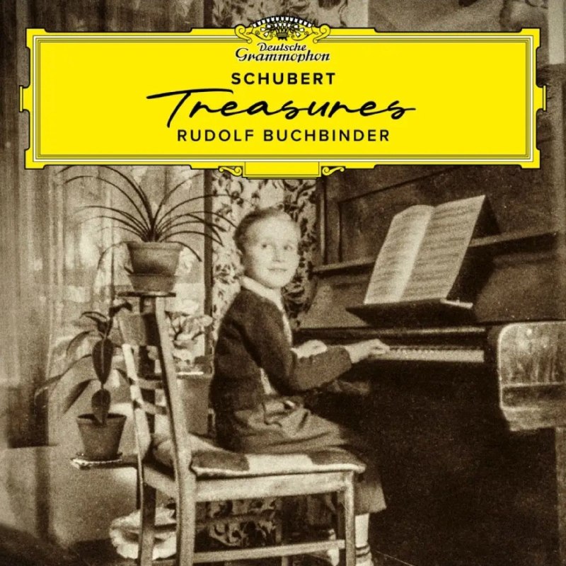 名称：Schubert Rudolf Buchbinder - Treasures FLAC 24bit 96khz  qobuz描述：这套DG出品、布赫宾德演绎的《舒伯特宝藏》，是大师80岁生辰之际回望初心的德奥录音佳作，封面孩童即是幼年练琴的他
