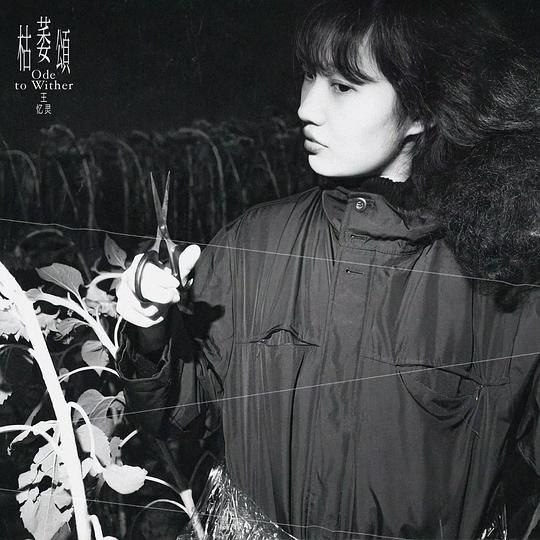 名称：王忆灵 - 枯萎颂 [E] (2024) FLAC 描述： FLAC 16B-44.1kHz qobuz _ 王忆灵：接受枯萎是另一种力量 在秋意尚未到来之际，王忆灵用一张《枯萎颂》吹来一阵风