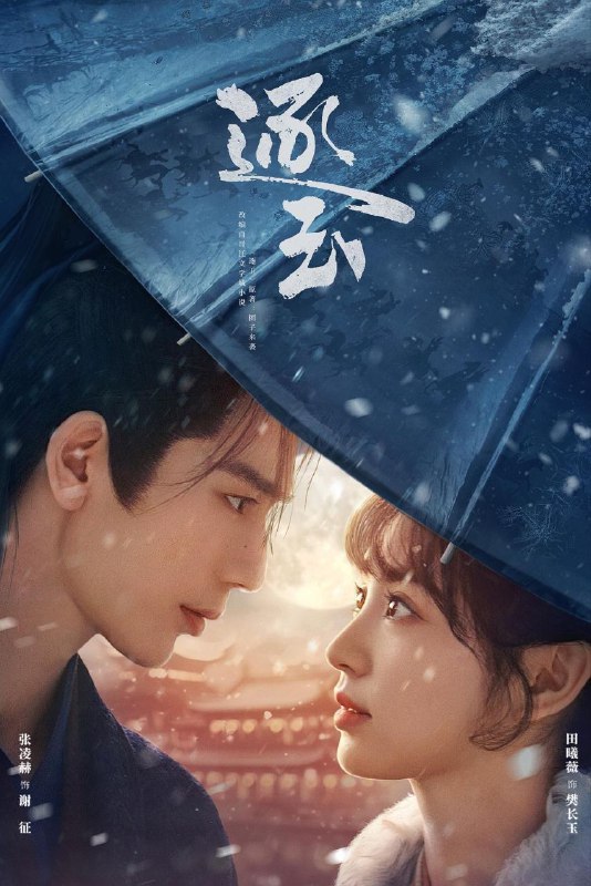 名称：逐玉 (2026) 4K DoVi 高码率 [HDR.Vivid.60fps] [杜比全景声] [更新23集]描述：该剧改编自晋江文学城团子来袭的小说《逐玉》