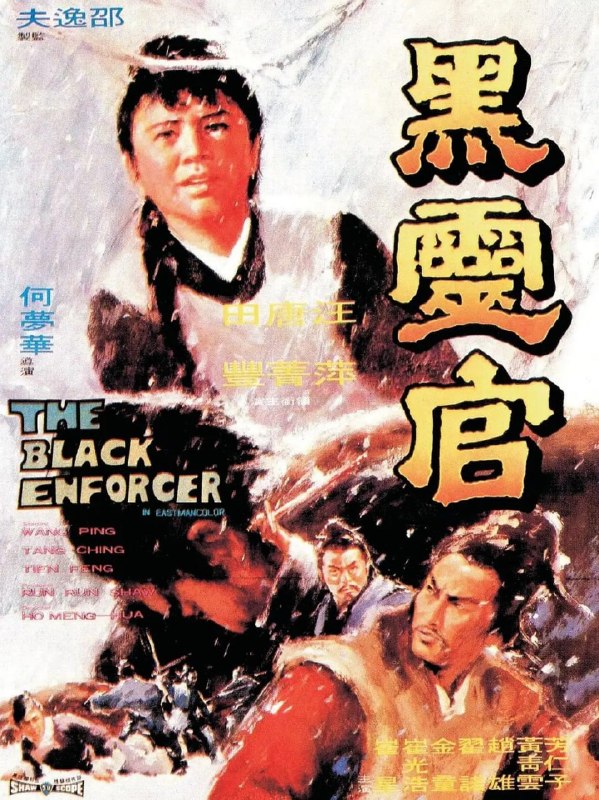 名称：黑灵官 黑靈官 (1972)描述：宫天龙（唐菁饰），因其脸上皮肤黝黑，人称黑灵官；关云飞（田丰饰）和黑灵官曾是师兄弟，因为关洗劫村庄，杀了一家十三口，后被黑灵官所擒，押送袁州受审，押解途中，遭遇大风雪，在天龙家中停留一晚，夜里，关同伙来劫囚，被天龙发现，双方厮杀……夸克：