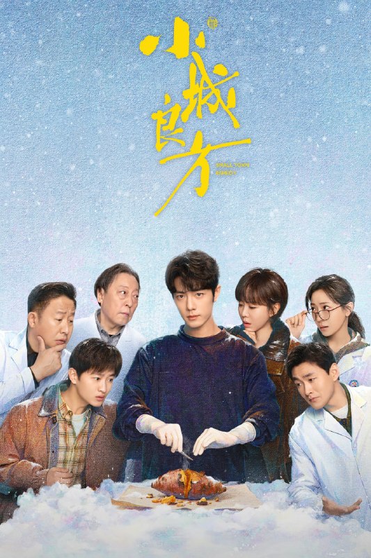 名称：小城良方 (2026) 08集 4K SDR描述：该剧改编自刘三叔所著小说《飞刀》