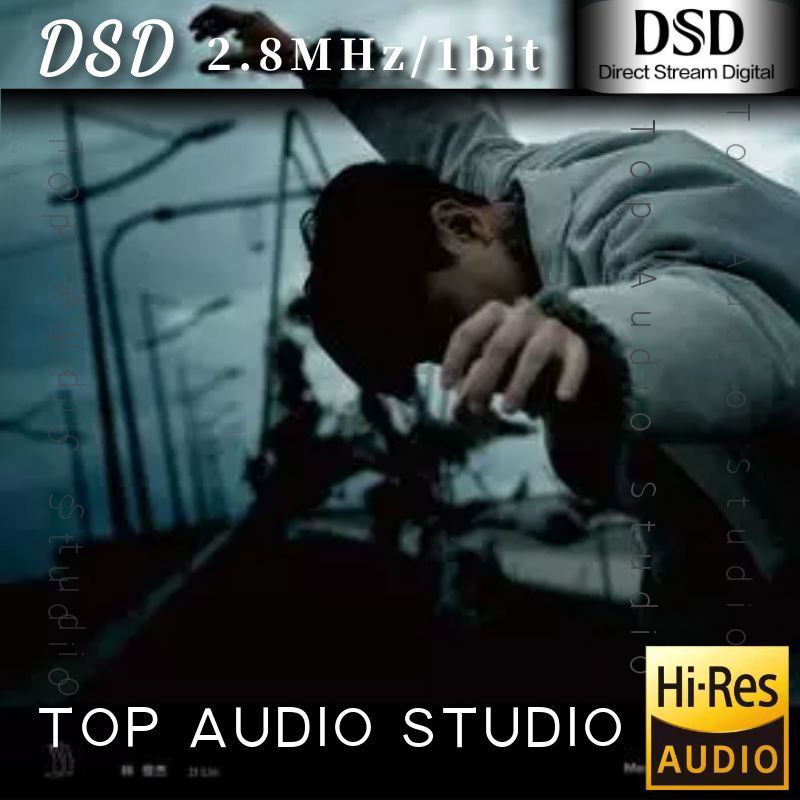 名称：林俊杰 伟大的渺小 DSD描述：伟大的渺小是林俊杰于2017年12月29日发行的专辑，由林俊杰与许环良担任制作人，共收录11首歌曲