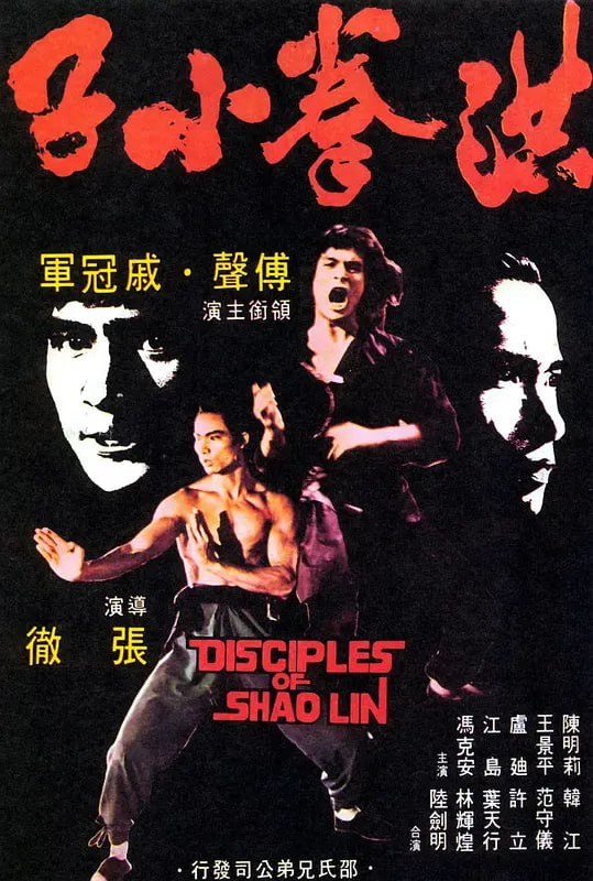 名称：洪拳小子 (1975)描述：本片为已故功夫巨星傅声的代表作之一，合演的包括戚冠军、江岛及卢迪